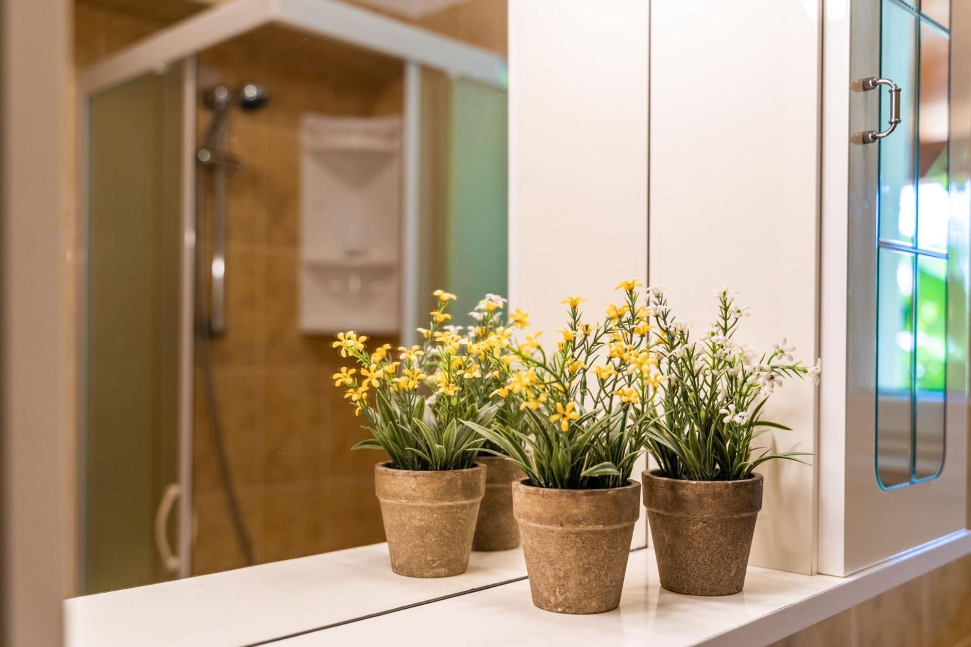 Apartments & Room Frane دوبروفينك الغرفة الصورة